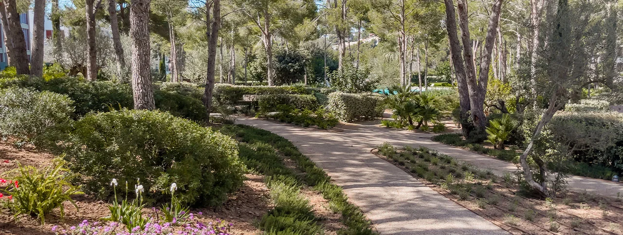 Gemensamma utrymmen, lägenhet att hyra i Bendinat, Mallorca