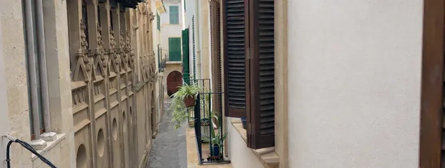 Ausblick (Wohnung zur Miete in Palma) Altstadt, Mallorca