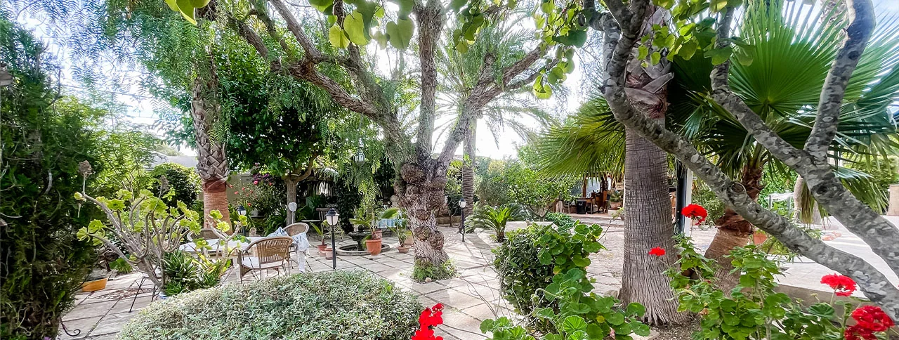 Trädgård, finca till salu i Llucmajor, Mallorca