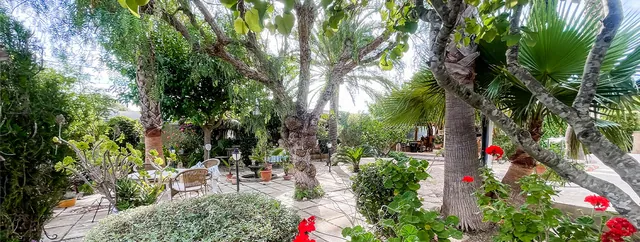 Trädgård, finca till salu i Llucmajor, Mallorca