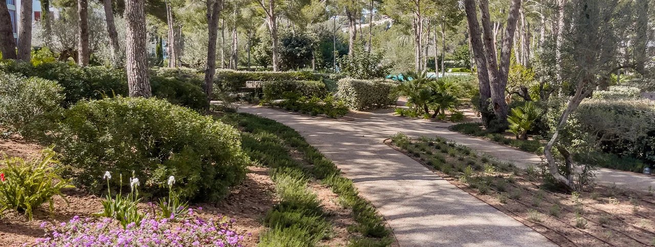 Gemensamma utrymmen, takvåning till salu i Bendinat, Mallorca
