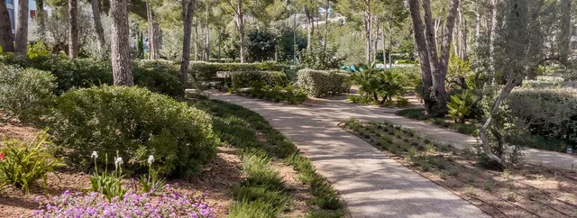 Gemensamma utrymmen, takvåning till salu i Bendinat, Mallorca