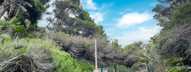 Tomt, tomt till salu i Costa de la Calma, Mallorca