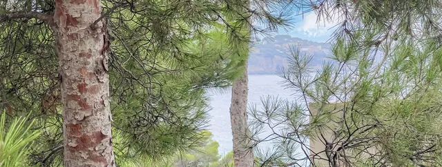 Utsikt, tomt till salu i Costa de la Calma, Mallorca